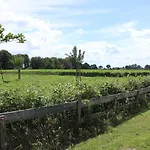 Met De Kippen Op Stok - Vakantiehuisjes