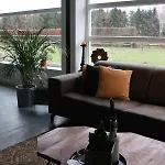 Met De Kippen Op Stok - Vakantiehuisjes Baexem