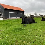 Met De Kippen Op Stok - Vakantiehuisjes *