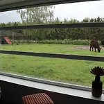 Met De Kippen Op Stok - Vakantiehuisjes *