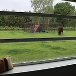 Met De Kippen Op Stok - Vakantiehuisjes