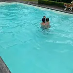 Met De Kippen Op Stok - Vakantiehuisjes