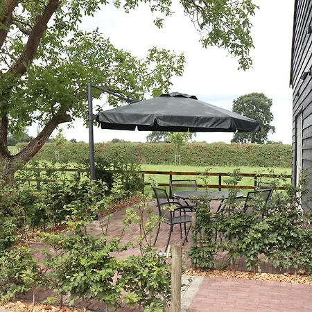 Met De Kippen Op Stok - Vakantiehuisjes Holiday home Baexem