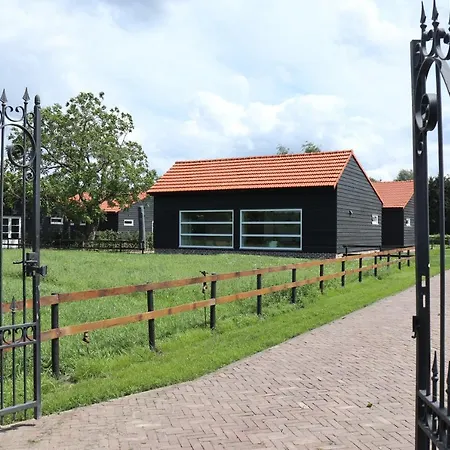 Met De Kippen Op Stok - Vakantiehuisjes * Baexem