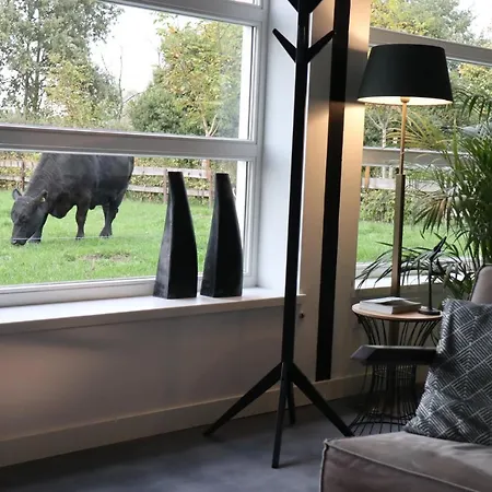 Met De Kippen Op Stok - Vakantiehuisjes Prázdninový dům