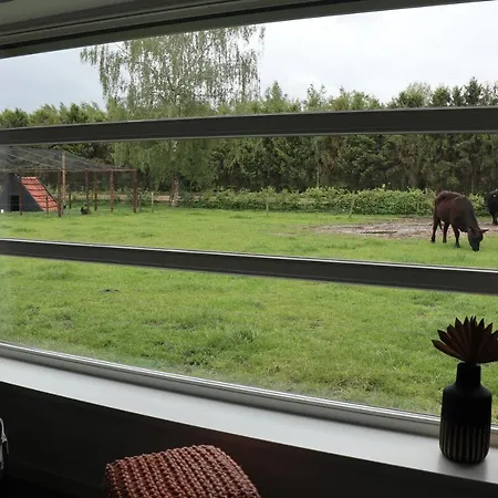 Met De Kippen Op Stok - Vakantiehuisjes *