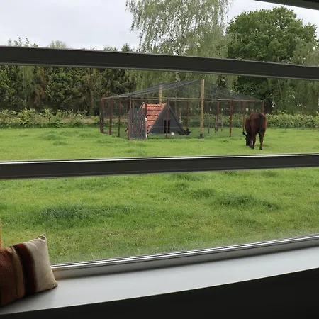 Met De Kippen Op Stok - Vakantiehuisjes