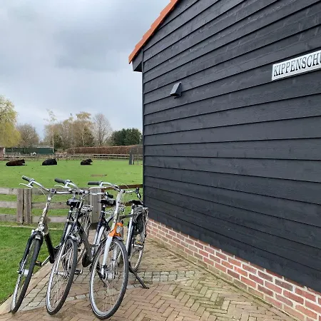 Met De Kippen Op Stok - Vakantiehuisjes * Baexem