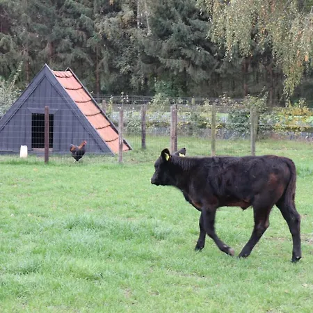 Met De Kippen Op Stok - Vakantiehuisjes *