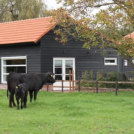 Holiday home Met De Kippen Op Stok - Vakantiehuisjes Baexem