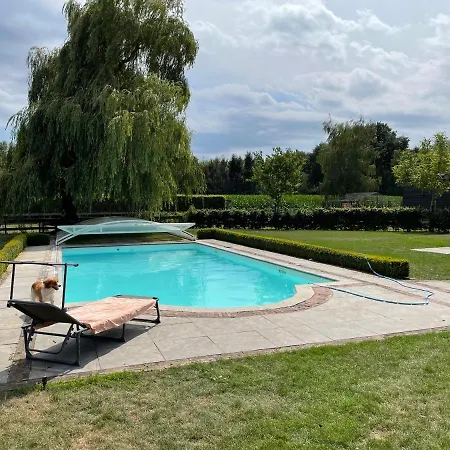 Met De Kippen Op Stok - Vakantiehuisjes Prázdninový dům Baexem