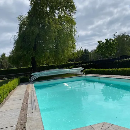 Met De Kippen Op Stok - Vakantiehuisjes * Baexem