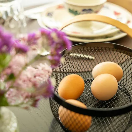 Prázdninový dům Met De Kippen Op Stok - Vakantiehuisjes Baexem