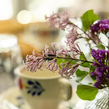 Holiday home Met De Kippen Op Stok - Vakantiehuisjes *