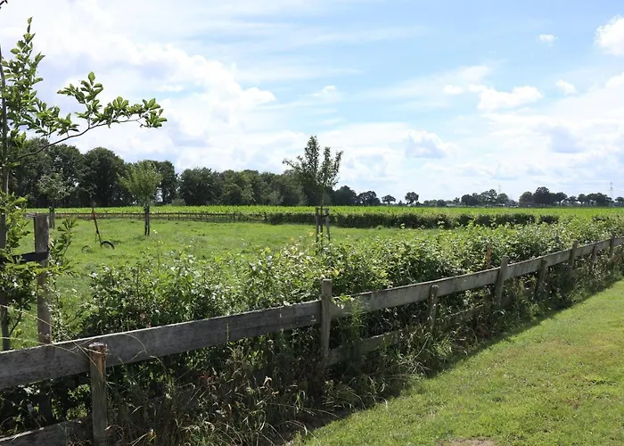 Met De Kippen Op Stok - Vakantiehuisjes