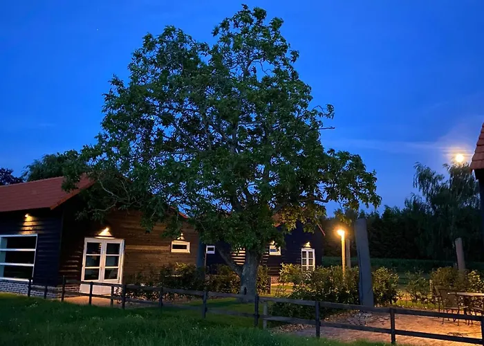 Met De Kippen Op Stok - Vakantiehuisjes