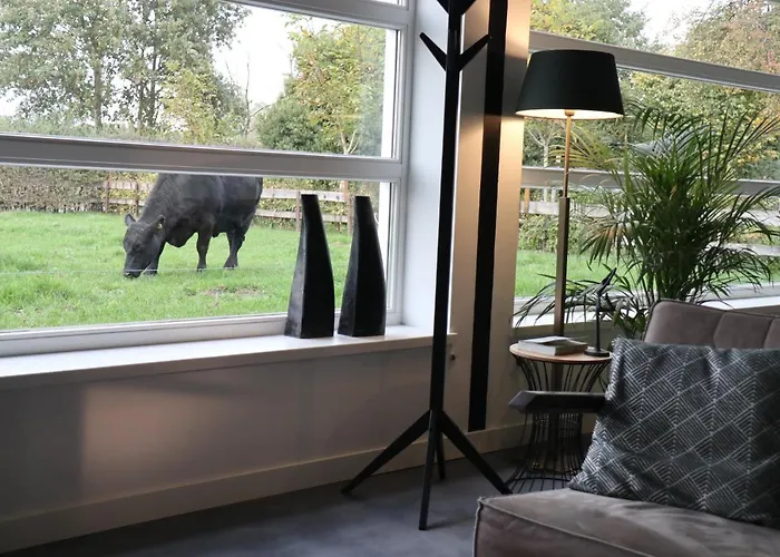 Met De Kippen Op Stok - Vakantiehuisjes بيت للعطل