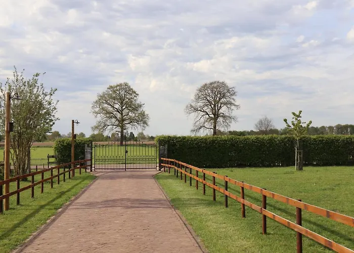 Met De Kippen Op Stok - Vakantiehuisjes Holiday home