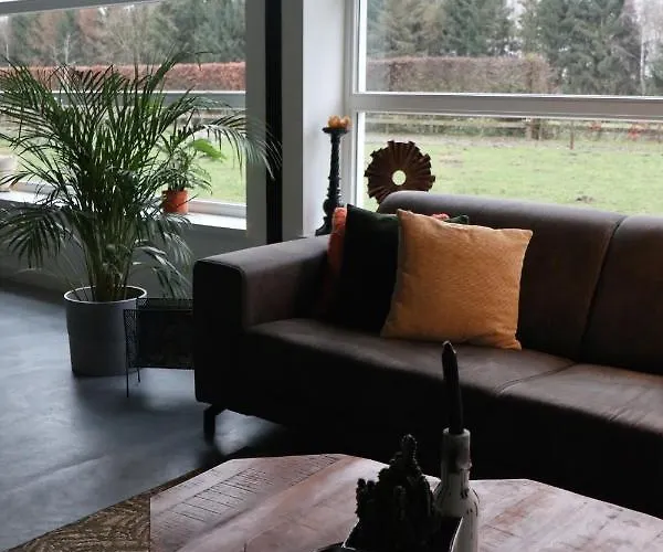 Met De Kippen Op Stok - Vakantiehuisjes Baexem