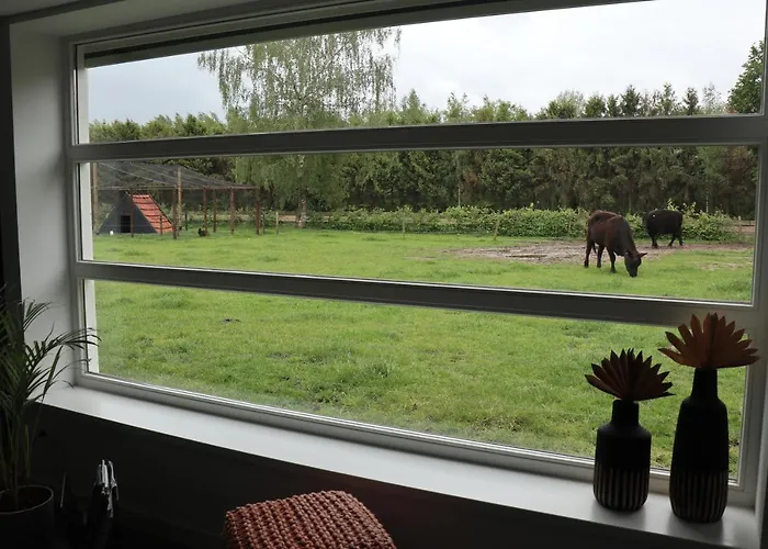 Met De Kippen Op Stok - Vakantiehuisjes *