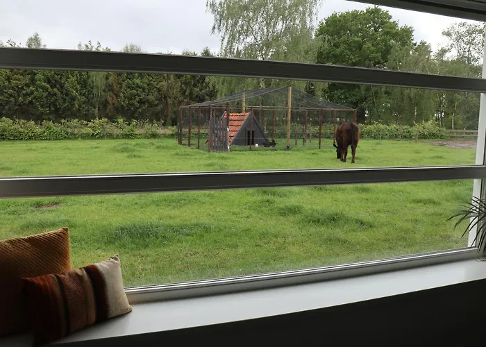 Met De Kippen Op Stok - Vakantiehuisjes