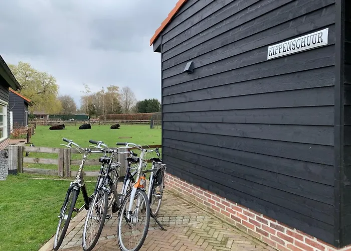 Met De Kippen Op Stok - Vakantiehuisjes * Baexem