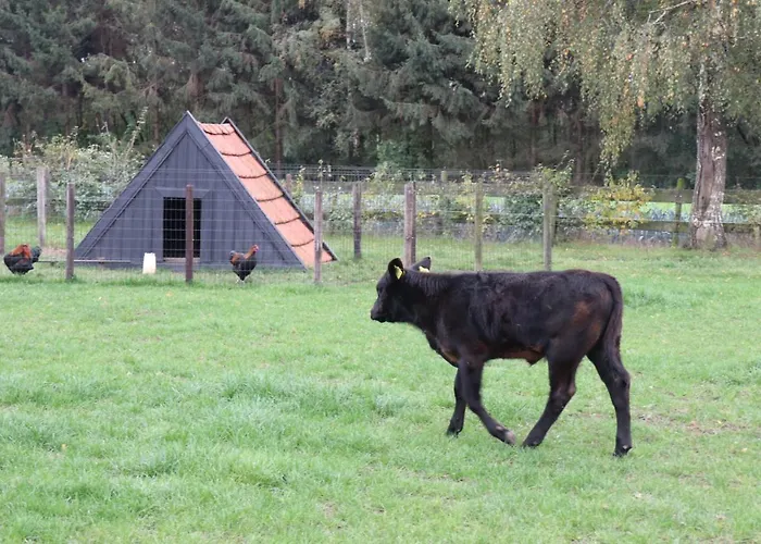 Met De Kippen Op Stok - Vakantiehuisjes *