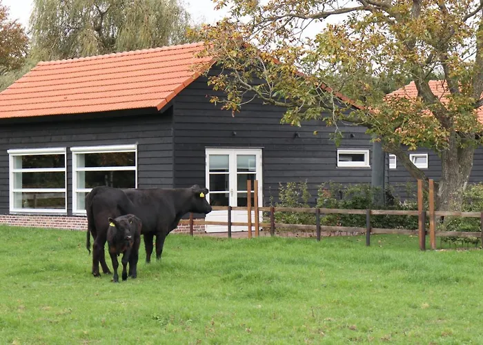 بيت للعطل Met De Kippen Op Stok - Vakantiehuisjes Baexem