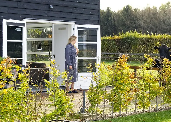 Holiday home Met De Kippen Op Stok - Vakantiehuisjes