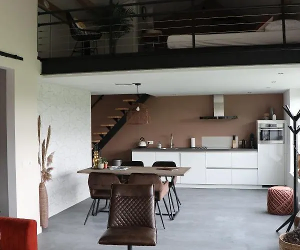 Met De Kippen Op Stok - Vakantiehuisjes *