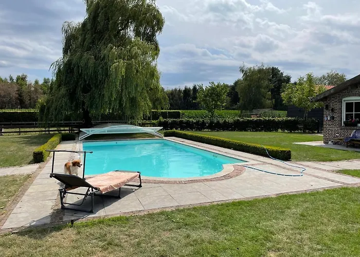 Met De Kippen Op Stok - Vakantiehuisjes Ferienhaus Baexem