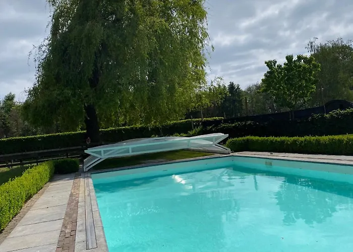 Met De Kippen Op Stok - Vakantiehuisjes * Baexem