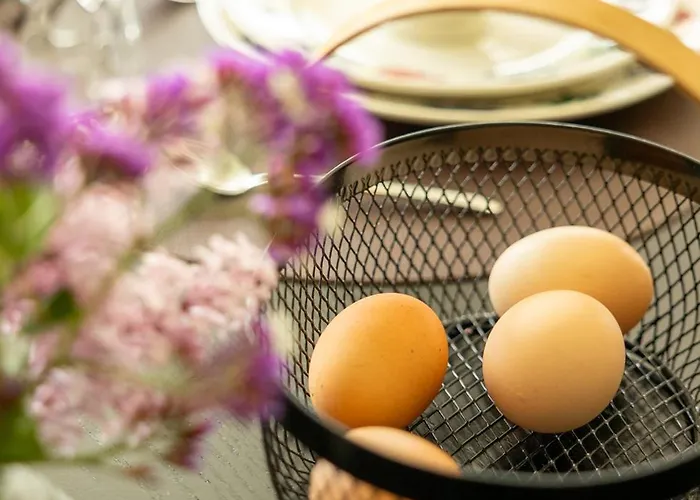 بيت للعطل Met De Kippen Op Stok - Vakantiehuisjes Baexem