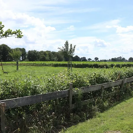 Met De Kippen Op Stok - Vakantiehuisjes