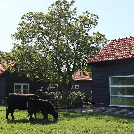 Met De Kippen Op Stok - Vakantiehuisjes 巴克瑟姆